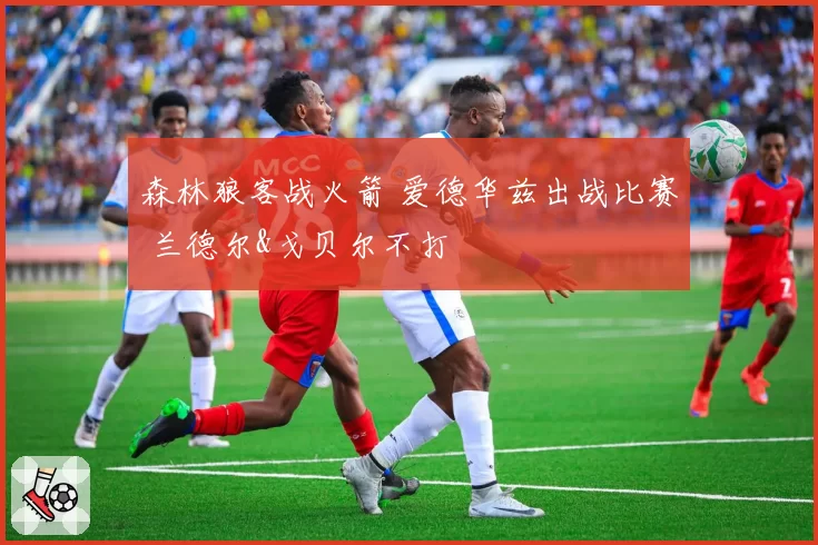 森林狼客战火箭 爱德华兹出战比赛 兰德尔&戈贝尔不打